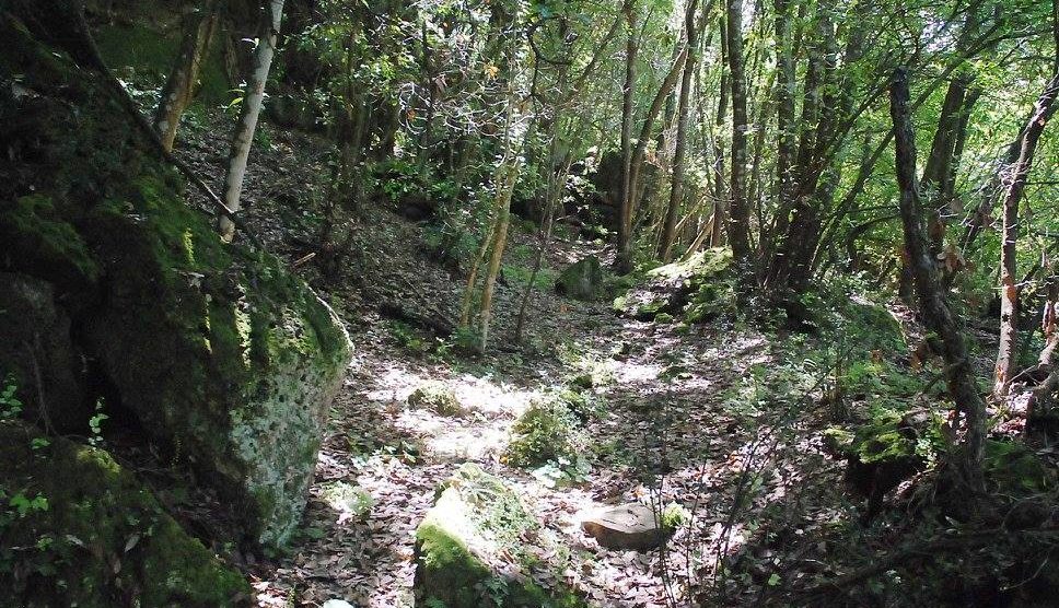 Pian del Vescovo